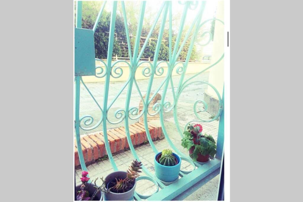 Apartament Cosy Studio Flat On The Seaside Lido di Ostia Zewnętrze zdjęcie