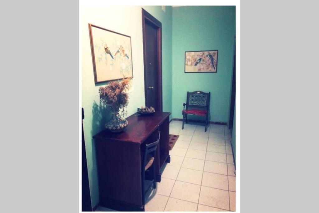 Apartament Cosy Studio Flat On The Seaside Lido di Ostia Zewnętrze zdjęcie